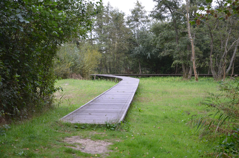 Zwin National Park in Knokke Heist. Belgium. 