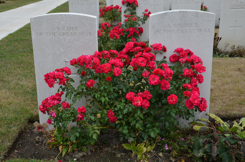 Tyne Cot Cemetery. Belgium.